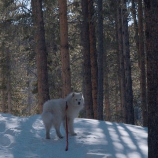 50 Hours To Wyoming Picture 7