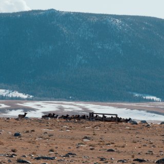 50 Hours To Wyoming Picture 8