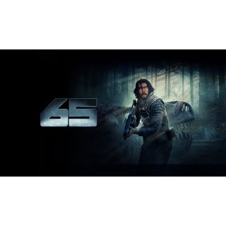 65 Picture 5