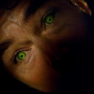 Incredible Hulk, The Picture 5