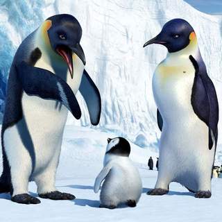 Happy Feet Picture 6