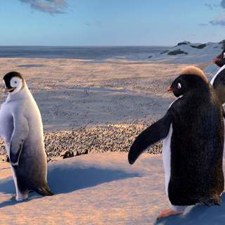 Happy Feet Picture 9