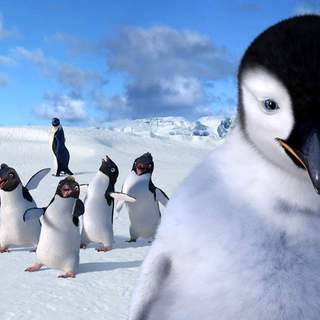 Happy Feet Picture 11