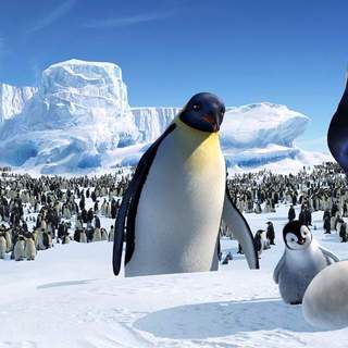 Happy Feet Picture 12