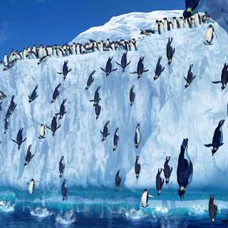 Happy Feet Picture 20