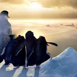 Happy Feet Picture 21