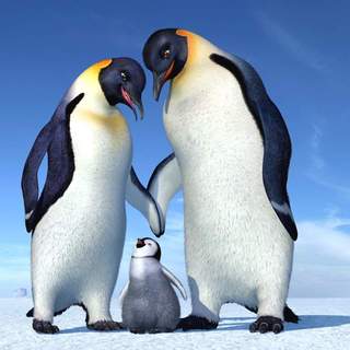 Happy Feet Picture 23