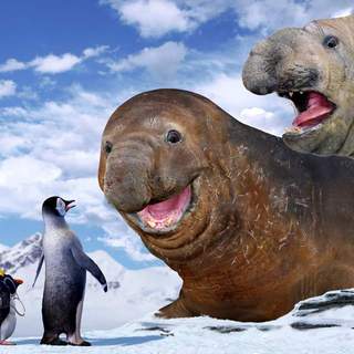 Happy Feet Picture 35