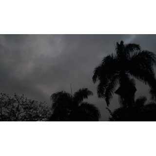 Ínsito (2026)