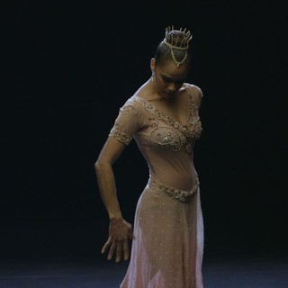 Ballerina's Tale, A Picture 8