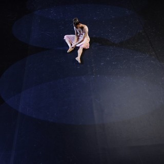 Ballerina's Tale, A Picture 9