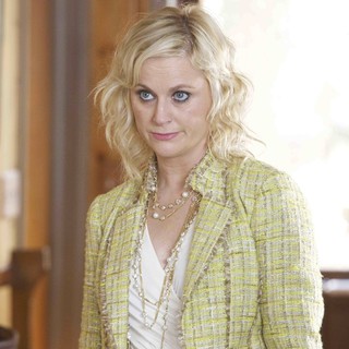 Amy Poehler stars as Sondra in The Film Arcade's A.C.O.D. (2013)