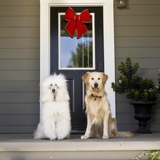 Christmas Wedding Tail, A Picture 1