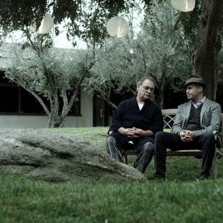 Green Story, A Picture 8