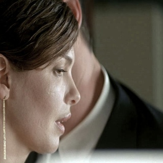 Jeanne Tripplehorn stars as Nina in IFC Films' A Perfect Man (2013)