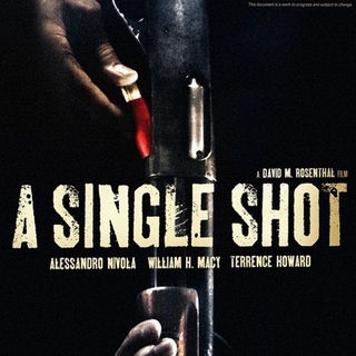 Single Shot, A Picture 1