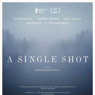 Single Shot, A Picture 2
