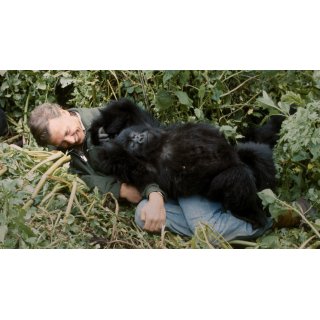 A Gorilla Story: Told by David Attenborough (2026)