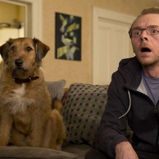 Absolutely Anything Picture 3