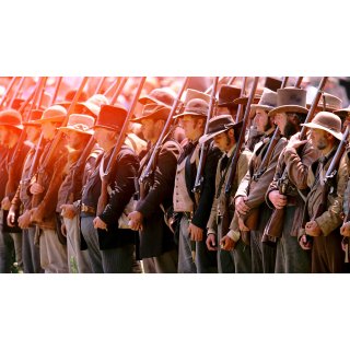 Alamo, The (2004)