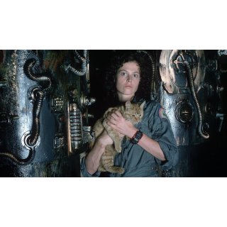 Alien: The Director's Cut Picture 5