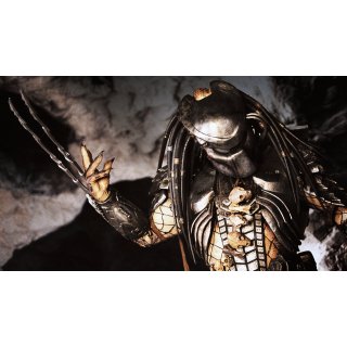 Alien vs. Predator (2004)
