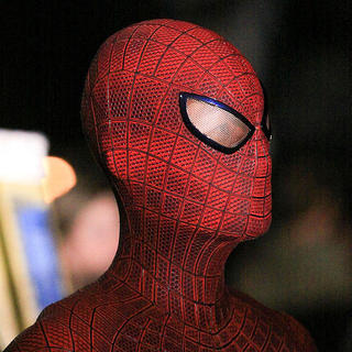 Amazing Spider-Man, The Picture 16