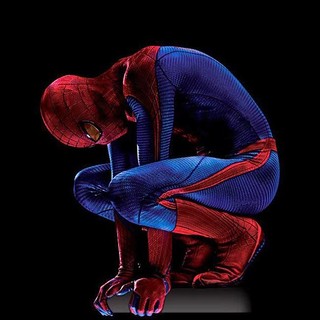 Amazing Spider-Man, The Picture 17