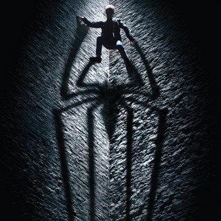Amazing Spider-Man, The Picture 22