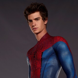 Amazing Spider-Man, The Picture 6