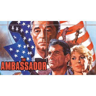Ambassador, The Picture 4