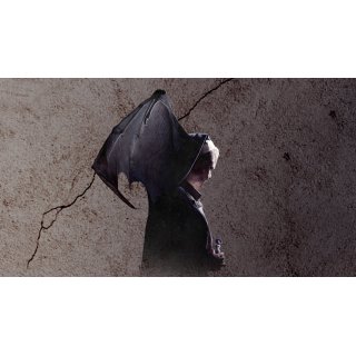 Amulet Picture 1