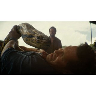 Anaconda Picture 6