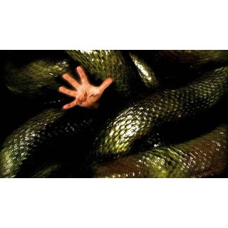 Anacondas: The Hunt for the Blood Orchid (2004)