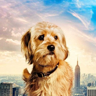 Anchorman: The Legend Continues Picture 16