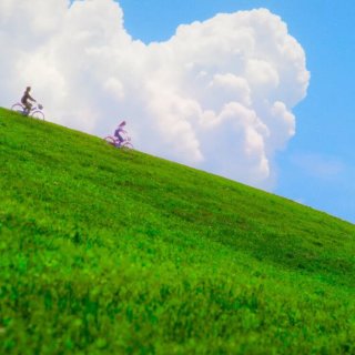 Anemoia Picture 1