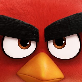 Angry Birds Picture 4