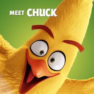 Angry Birds Picture 10
