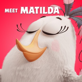 Angry Birds Picture 11