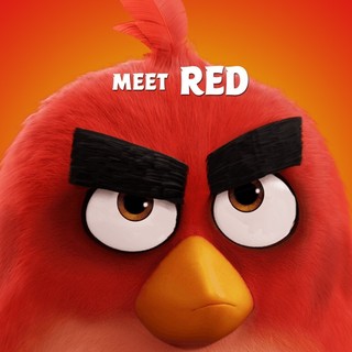 Angry Birds Picture 13