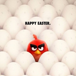Angry Birds Picture 15