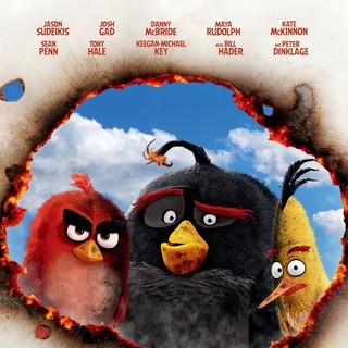 Angry Birds Picture 16