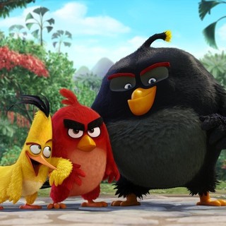 Chuck, Red and Bomb from Columbia Pictures' Angry Birds (2016)