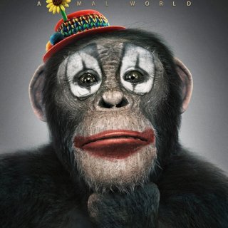 Poster of Shanghai Ruyi Entertainment's Animal World (2018)