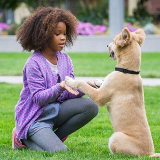 Quvenzhane Wallis stars as Annie in Columbia Pictures' Annie (2014). Photo credit by Barry Wetcher.