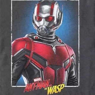 Poster of Walt Disney Pictures' Ant-Man and the Wasp (2018)