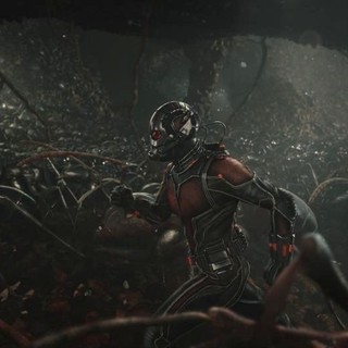 Ant-Man Picture 38