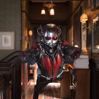 Ant-Man Picture 40