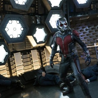 Ant-Man Picture 44