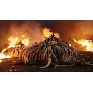Anthropocene: The Human Epoch Picture 5